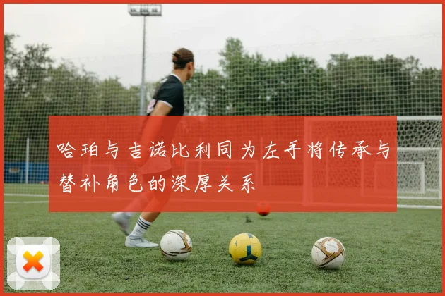 哈珀与吉诺比利同为左手将传承与替补角色的深厚关系
